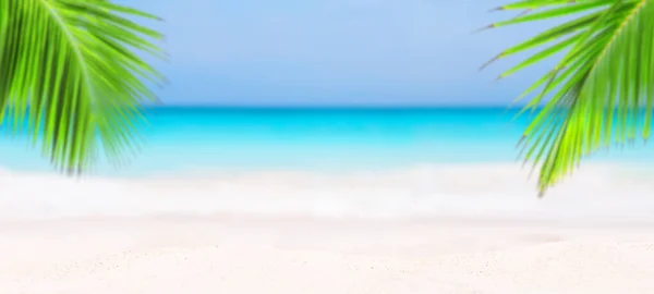 Panorama Céu Azul Borrado Folhas Coqueiro Paisagem Verão Tropical Conceito — Fotografia de Stock