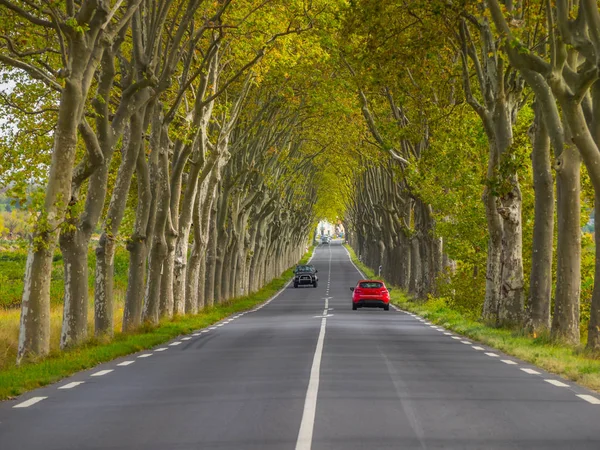 林立的乡村道路 — 图库照片