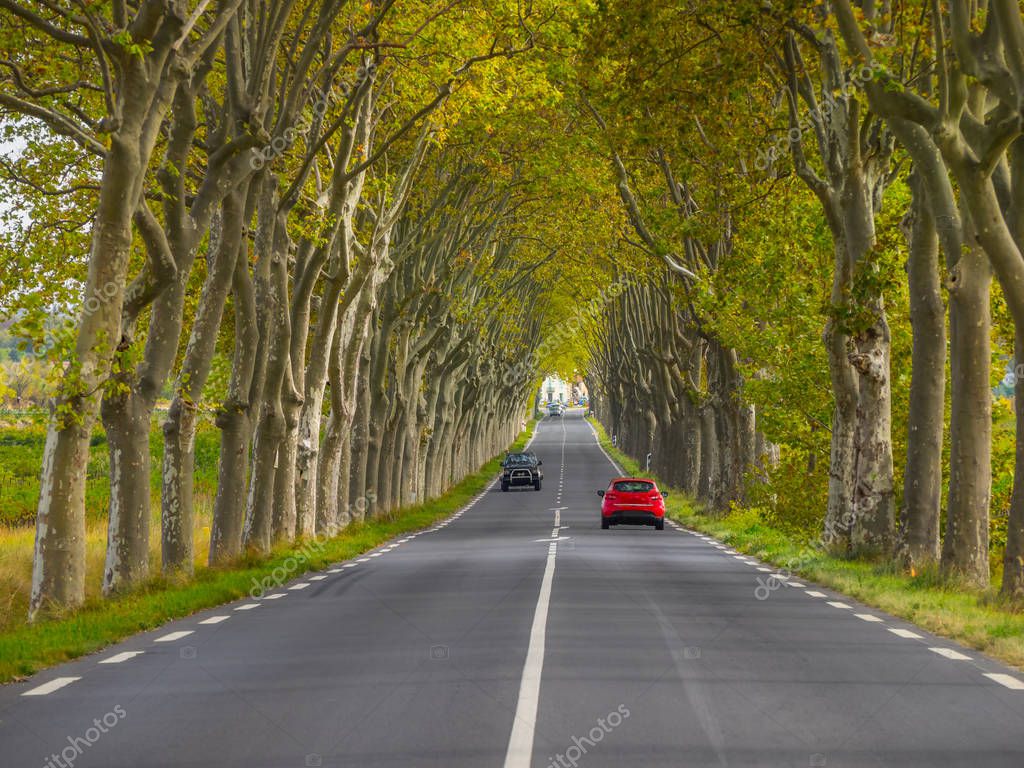 Tree lined country road Stock Photo by ©Sonar 128857550