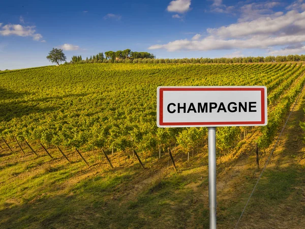 Champagne wine region of France — Stock Photo, Image