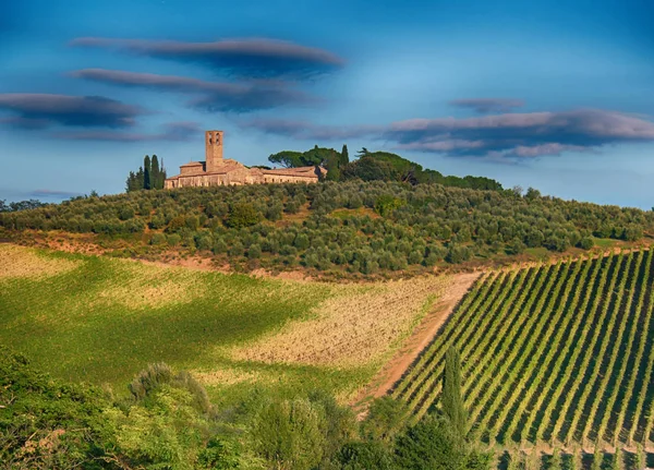 Тосканский пейзаж осенью — стоковое фото