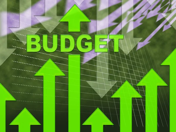 Budget graf visar kostnader tilldelning och ersättning — Stockfoto