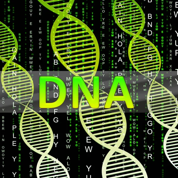 Dna Helix Showing Biotechnology Research 3d Illustration — Stock Photo, Image