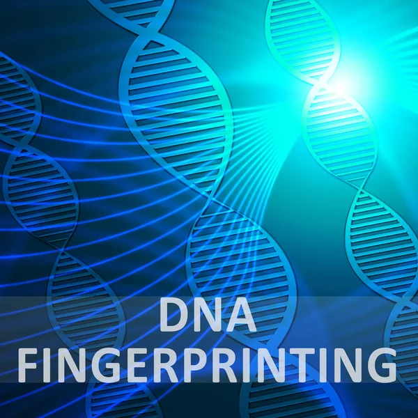 Dna Fingerprinting Signification Profilé génétique Illustration 3d — Photo