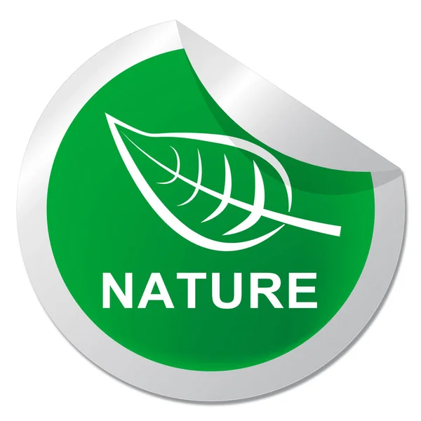 Natura Mostra Scenic naturale all'aperto 3D Illustrazione — Foto Stock