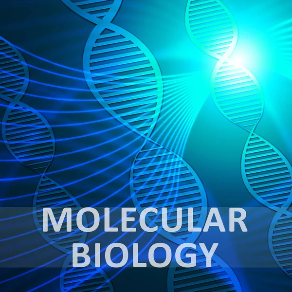 Молекулярная биология означает исследование ДНК 3d Иллюстрация — стоковое фото