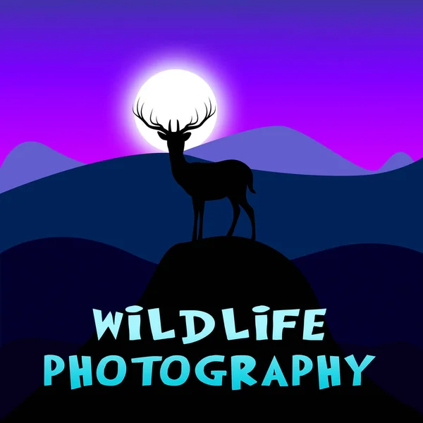 Tierfotografie zeigt Tierfotos 3D-Illustration — Stockfoto