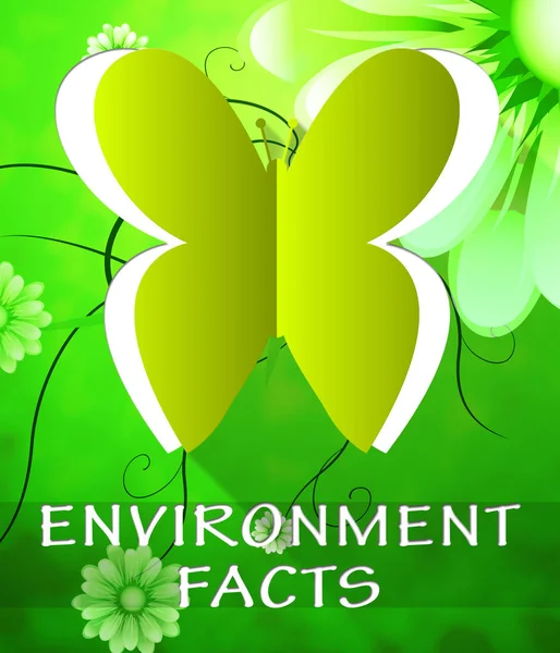 Environment Facts Butterfly Shows Nature 3d Illustration — Stock Photo, Image