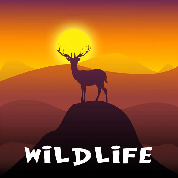 Divoké jeleny, ukazuje divoká zvířata, 3d obrázek — Stock fotografie