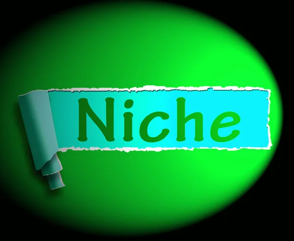 Niche Word Shows Web Opening 3d Rendering — Stock Photo, Image