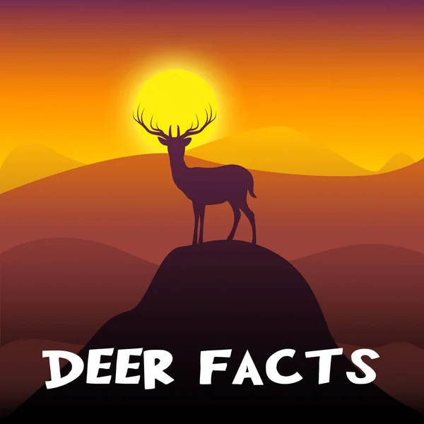 Deer Facts Shows Stag Information 3d Illustration — Stock Photo, Image