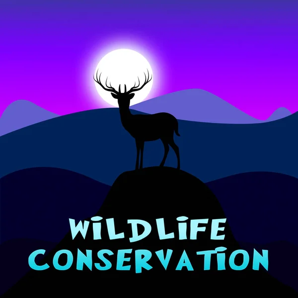 Conservación de la Vida Silvestre Mostrando Conservación Animal 3d Illustratio — Foto de Stock