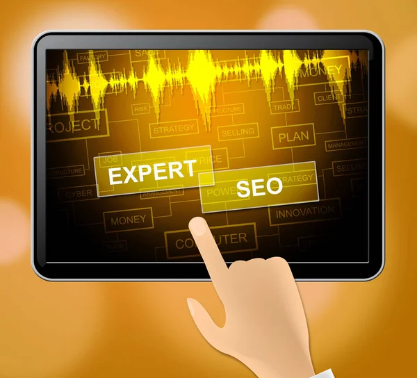 Expert Seo geeft aan Search Engine 3d illustratie — Stockfoto