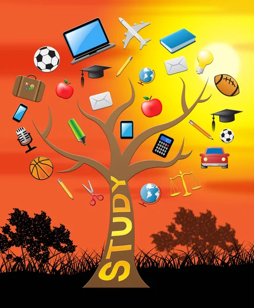 Education Study Tree Shows College 3d Illustration — Stock Photo, Image