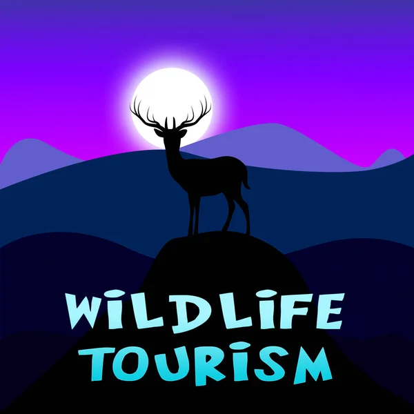 Wildtiertourismus zeigt Tierführungen 3D-Illustration — Stockfoto