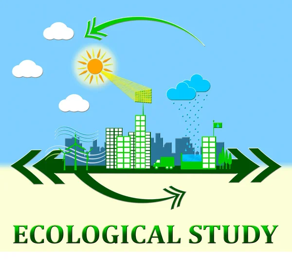 Ekologiska studie visar Eco lärande 3d Illustration — Stockfoto