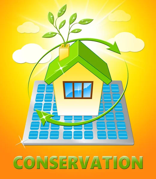 Behoud huis Shows natuurlijke conservering 3d illustratie — Stockfoto