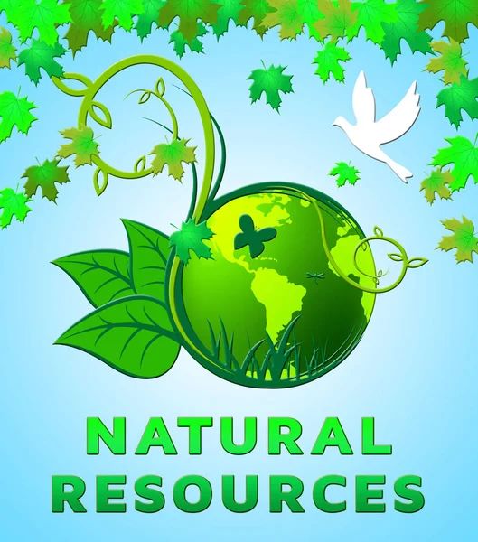 Design natürlicher Ressourcen zeigt Naturgüter 3D-Illustration — Stockfoto