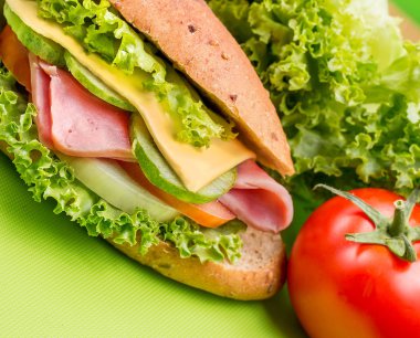 Peynirli sandviç ekmek rulo ve baget temsil eder 