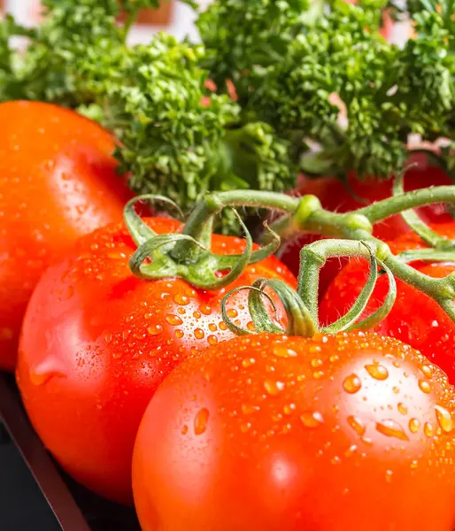 Wybór soczystych pomidorów z kropelek wody w kuchni — Zdjęcie stockowe