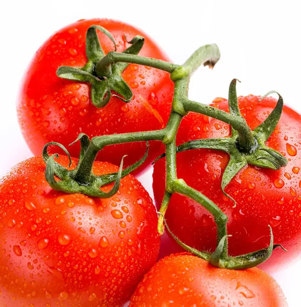 Świeże pomidory czerwone z bliska na białym tle — Zdjęcie stockowe