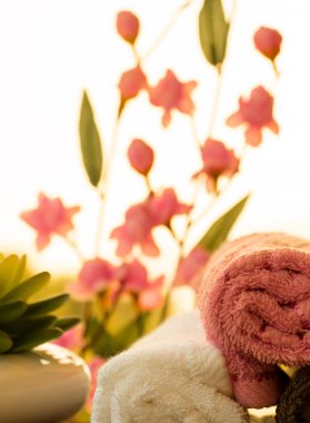 Egzotik Sağlık Spa Wellness lüks rahatlatıcı Salon anlamına gelir.