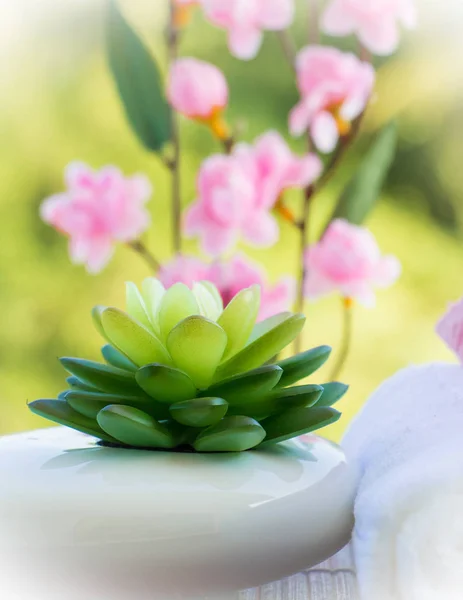 Natural Health Spa Wellness Means Luxurious Relaxing Salon — Stock Photo, Image