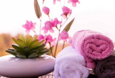 Güzellik Sağlık Spa Wellness lüks rahatlatıcı Salon görüntüler