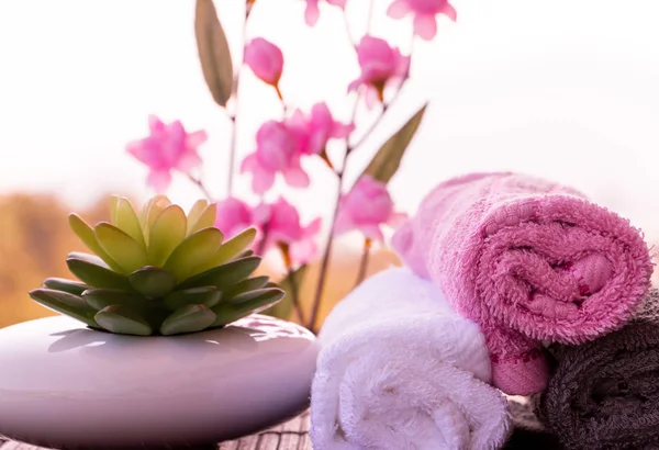 Skönhet hälsa Spa Wellness visar lyxig avkopplande salong — Stockfoto