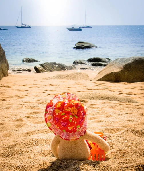 Miś z kapelusz z widokiem na morze — Zdjęcie stockowe