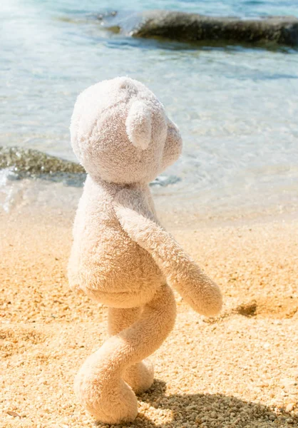 Teddybeer wandelen in de buurt van de zee In Thailand — Stockfoto