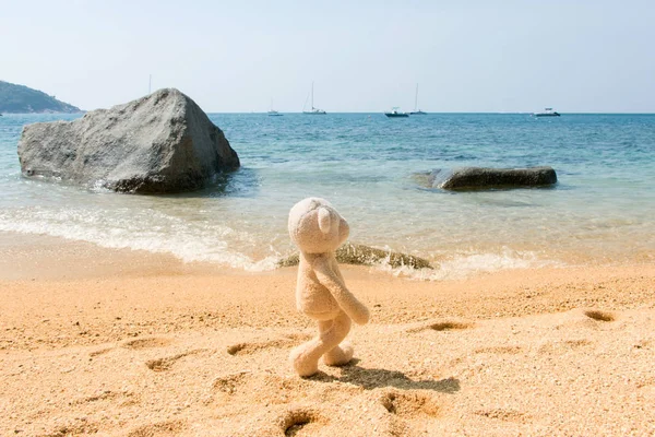 Teddy Bear Walking On The Beach In Thailand — Stock Photo, Image