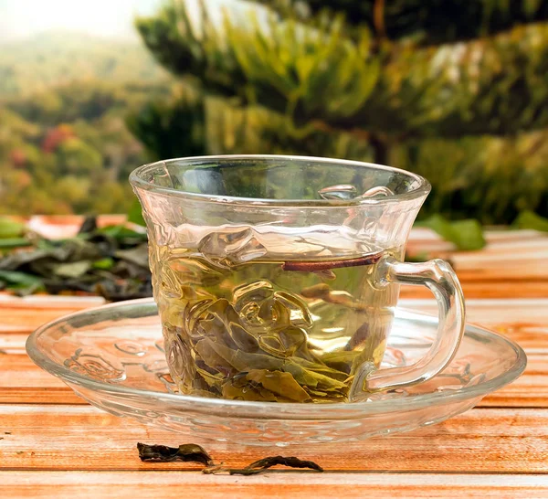 Té verde de China significa bienestar y bebida sedientos — Foto de Stock