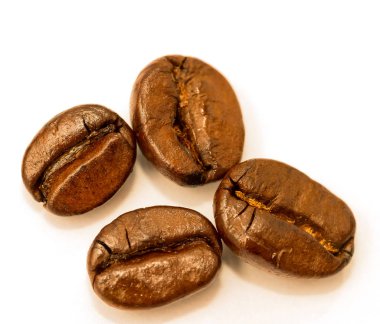 Taze kahve çekirdekleri sıcak içecek ve Brown gösterir 