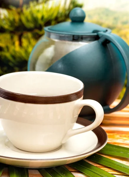 Yenilenmiş içecekler ferahlatıcı yeşil çay anlamına gelir — Stok fotoğraf