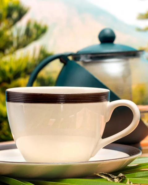 İçecek Meşrubat ve çay yeşil çay Kupası anlamına gelir — Stok fotoğraf