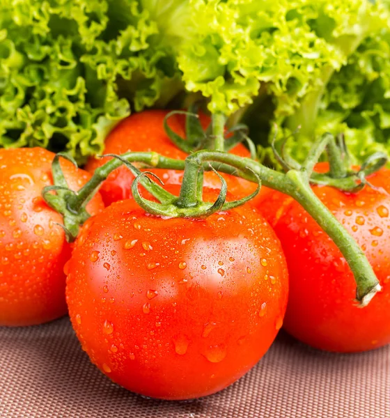 Closeup of juicy red vine tomatoes with salad — Stock Photo, Image