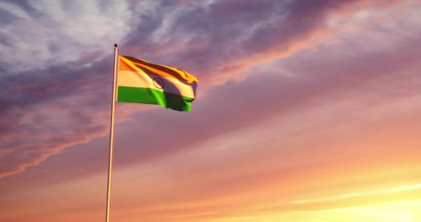 Bandiera Indiana Sventola Raffigura Simbolo Nazionale Dell India Mostrando Una — Video Stock