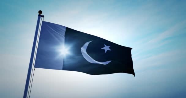 Pakistaanse Vlag Wapperend Toont Het Nationale Symbool Van Pakistan Een — Stockvideo