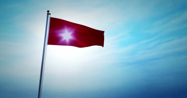 Красный Флаг Размахивающий Криком Опасности Опасной Угрозы Мичман Машущий Небе — стоковое видео