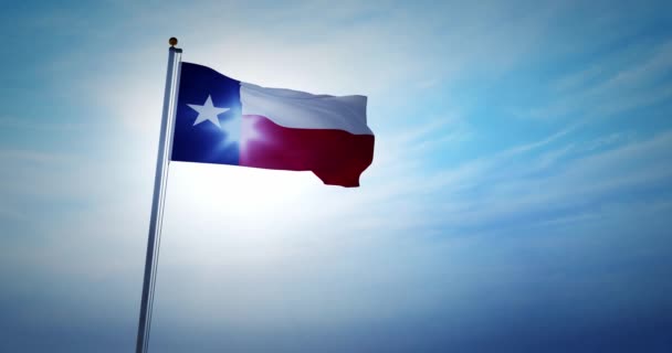 Bandeira Texas Agitando Representa Estado Texano América Eua Uma Bandeira — Vídeo de Stock
