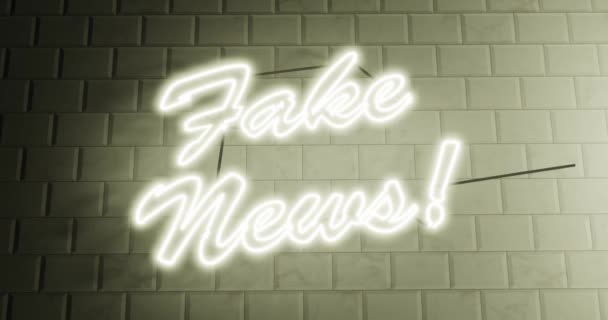 Falsi Segni Notizie Fatti Alternativi Sono Propaganda Disinformazione Segno Neon — Video Stock