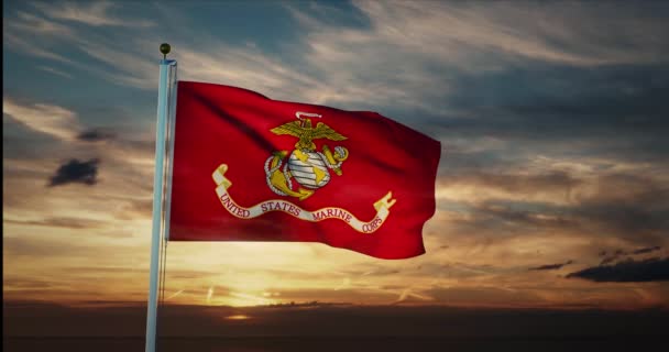アメリカ海兵隊の旗を振っている アメリカの紋章 4つの海兵隊またはGi — ストック動画
