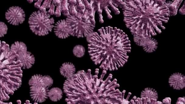 武汉仓鼠新型流感病毒细胞传播 世界范围内导致死亡 疾病及传染的中国肺炎 3D动画 — 图库视频影像