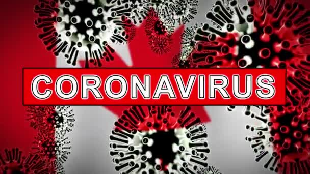 コロナウイルスカナダ流行Covid 19細胞症状 2019 Nconvカナダの検疫は Covid19感染リスクを停止する 3Dアニメーション — ストック動画
