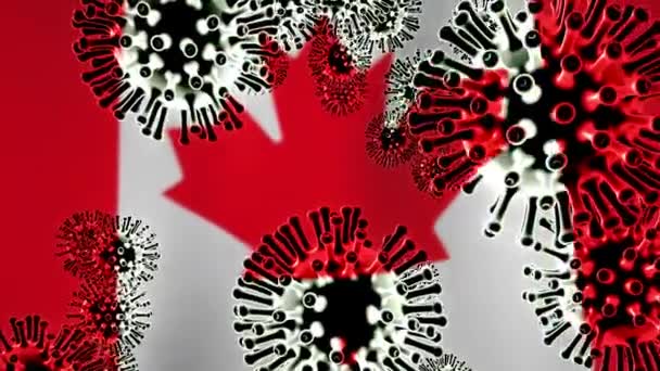 Bloqueo Células Covid Epidémicas Coronavirus Canada 2019 Ncov Cuarentena Canadiense — Vídeos de Stock