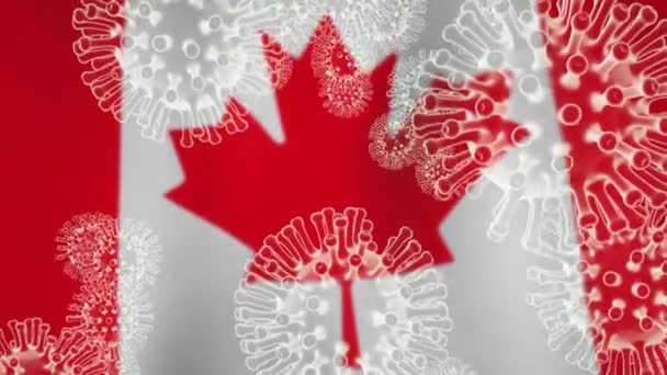 コロナウイルスカナダ流行Covid 19細胞のロックダウン 2019 Nconvカナダの検疫は Covid19感染リスクを停止する 3Dアニメーション — ストック動画