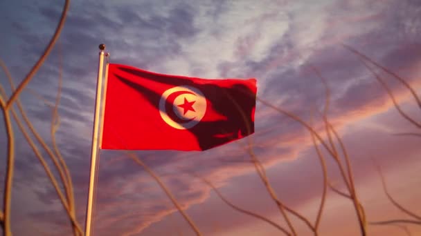 日没のチュニジアのフラグは 風の中で手を振った チュニジアの旗竿が名誉を持って吹いて 3Dアニメーション — ストック動画