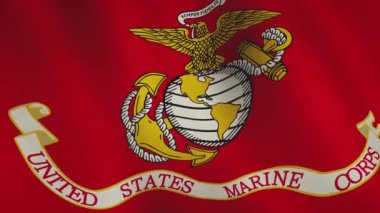 Usmc askeri bayrağı Birleşik Devletler Deniz Kuvvetleri. Vatanseverliğin ve özgürlüğün sembolü - kusursuz animasyon döngüsü