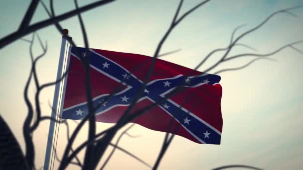 Confederate Flag Waving Flagpole American Historical Symbol Independence States Animation — Stock Video